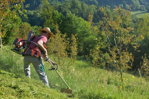 Cost of Slope Trimming in State College